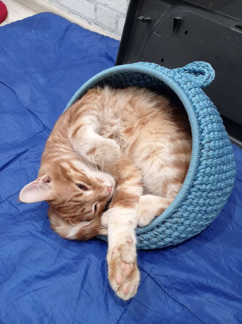 Crochet pet house (PDF pattern)